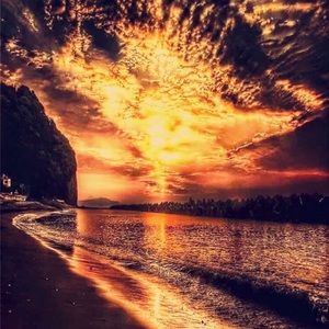 Meet your Posher, Billy